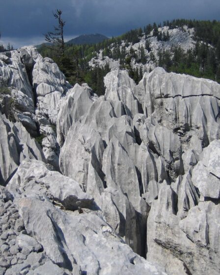 Velebit