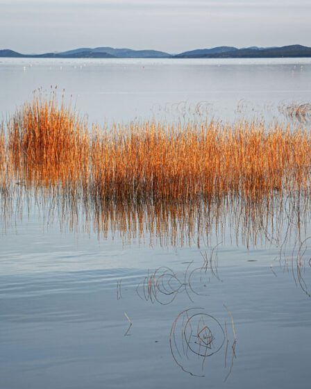 Vrana, zachód słońca